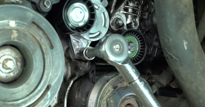 Multiriem RENAULT TRAFIC II Bestelwagen (FL) 2.5 dCi (FL0J) 2004 zelf verwisselen