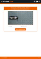 Lamp voor koplamp Xenon en LED RENAULT MASTER II Bestelwagen (FD) 2011 | PDF guide voor vervanging