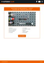 DIY käsiraamat Hõõgküünal asendamiseks RENAULT AVANTIME