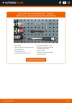 BSG BSG 65870005 pentru ESPACE III (JE0_) | PDF manualul de înlocuire