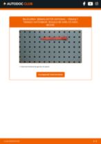 Manual de bricolaj pentru substituir Semnalizare in RENAULT TWINGO