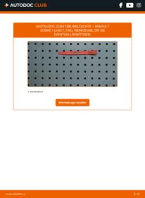 Wie der Wechsel ausgeführt wird: Blinker 1.9 dCi Renault Scenic 1