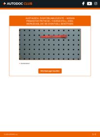 Wie der Wechsel ausgeführt wird: Blinker 2.5 dCi 140 Primastar X83