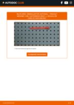 Semnalizator stânga/dreapta + spate/față RENAULT Megane I Van / Hatchback (SA0/1_) 2001 | PDF ghid de înlocuire