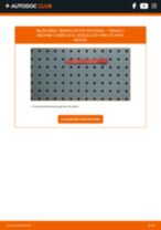 Semnalizator stânga/dreapta + spate/față RENAULT MEGANE I Cabriolet (EA0/1_) 2001 | PDF ghid de înlocuire