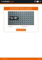 Lamp voor koplamp Xenon en LED DACIA Dokker Station wagon (KE_) 2016 | PDF guide voor vervanging