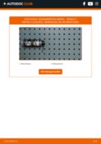 Scheinwerfer-Birne Xenon und LED RENAULT ESPACE II (J/S63_) 2003 | PDF Tutorial zum Wechsel