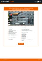 METZGER 6260458 for INTERSTAR Platform/Chassis | PDF replacing instruction