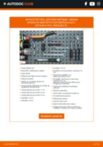 BREMBO F 56 101 για INTERSTAR Πλατφόρμα/σασσί | PDF οδηγίες αντικατάστασης