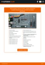 BOSCH 0 204 004 320 per INTERSTAR Pianale piatto/Telaio | PDF istruzioni di sostituzione