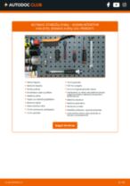 JAPANPARTS DP-102C už INTERSTAR komercinis (X70) | PDF keitimo vadovas