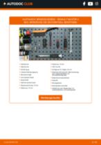 ABE C4R019ABE für MASTER II Bus (JD) | PDF Handbuch zum Wechsel