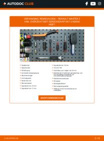 Vervangen: Remschijven 2.5 dCi Renault Master 2 Van