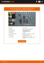 GSP S080334 varten INTERSTAR Bussi (X70) | PDF vaihto-ohje