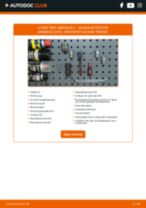 GSP S080334 til INTERSTAR Buss (X70) | PDF manual for bytte