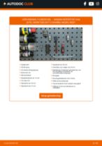 DELPHI TC2376 voor INTERSTAR Bestelwagen (X70) | PDF guide voor vervanging