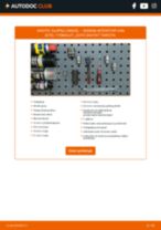 GSP S080334 varten INTERSTAR Umpikori (X70) | PDF vaihto-ohje