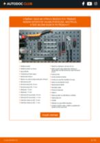 A.B.S. 63650 pro INTERSTAR valník/podvozek | PDF manuál na výměnu