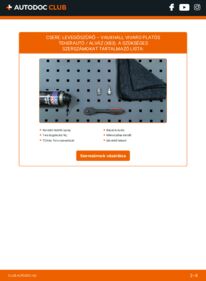 Hogyan végezze a cserét: 2.0 CDTI VAUXHALL VIVARO Platform/Chassis (E7) Levegőszűrő