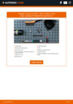 Návod na riešenie problémov: Vivaro A Van (X83) 2020 manuál