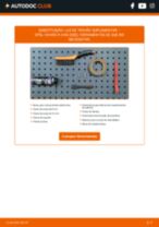 O guia profissional para substituir o produto Luz de Placa no teu Opel Vivaro Van 2.0 CDTI (F7)