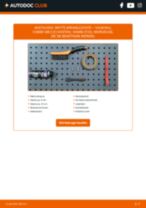 Wie führe ich einen 3. Bremsleuchte-Ersatz bei meinem Vivaro Kastenwagen (X83) 2.5 CDTI durch? Schritt-für-Schritt-Wegleitungen