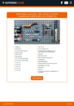 Den professionelle guide til udskiftning af Tændrør på din OPEL VIVARO Platform/Chassis (E7) 2.5 CDTI