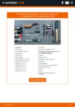 TRISCAN 8180 10201 voor VIVARO Combi (J7) | PDF guide voor vervanging
