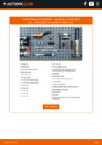 DIY-manual til udskiftning af Tågelygter i VAUXHALL MAGNUM 1981