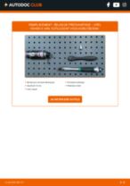 STARK SKCUG-3880008 pour Vivaro A Combi (X83) | PDF tutoriel de changement