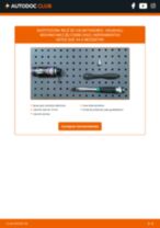 guía pdf descargas