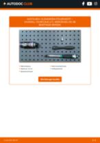 ERA 661290 für VIVARO Combi (J7) | PDF Anleitung zum Wechsel