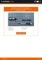 ERA 661290 für VIVARO Combi (J7) | PDF Tutorial zum Austausch