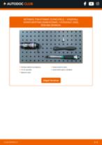 vadovas pdf atsisiųsti