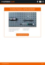 ghid pdf descarca