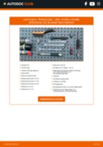 KRAFT 4225018 für Vivaro A Combi (X83) | PDF Tutorial zum Wechsel
