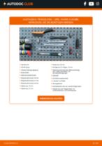 KRAFT 4225018 für Vivaro A Combi (X83) | PDF Tutorial zum Austausch