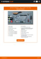 vadovas pdf atsisiųsti