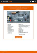 OCAP 0403877 pro VIVARO Combi (J7) | PDF manuál na výměnu