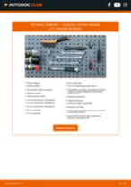 vadovas pdf atsisiųsti
