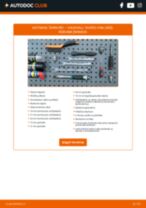 vadovas pdf atsisiųsti