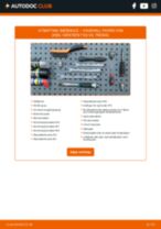 guide pdf nedlasting