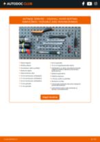 vadovas pdf atsisiųsti