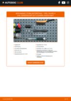 OCAP 0503809 voor Vivaro A Combi (X83) | PDF guide voor vervanging