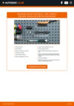 OCAP 0503809 pentru Vivaro B Van (X82) | PDF manualul de înlocuire