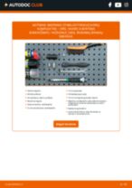 vadovas pdf atsisiųsti