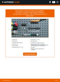 Vervangen: Stabilisatorstang Rubbers 2.0 CDTI VAUXHALL VIVARO Platform/Chassis (E7)