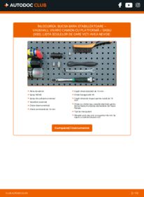Cum să efectuați înlocuirea: Bucsa Bara Stabilizatoare VAUXHALL VIVARO Platform/Chassis (E7) 2.0 CDTI
