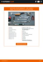 OCAP 0293875 für Vivaro A Combi (X83) | PDF Tutorial zum Austausch