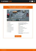 OCAP 0603807-K pre VIVARO Combi (J7) | PDF návod na výmenu